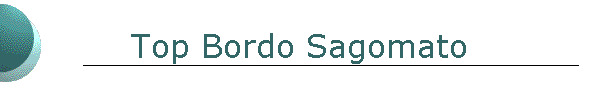 Top Bordo Sagomato
